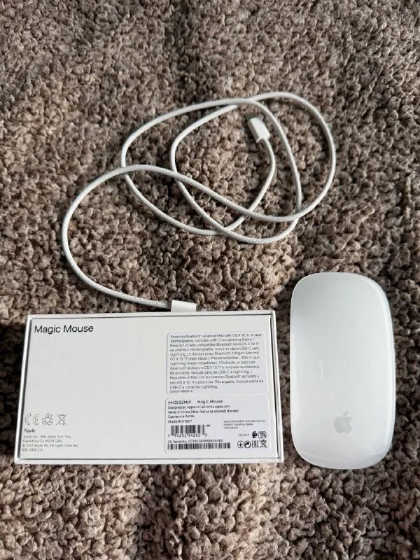 Apple Magic Mouse 1