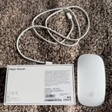 Apple Magic Mouse 1