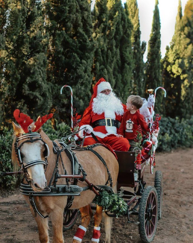 Фотосессии портреты, дети, семья, lifestyle, beauty, бизнес контент 4