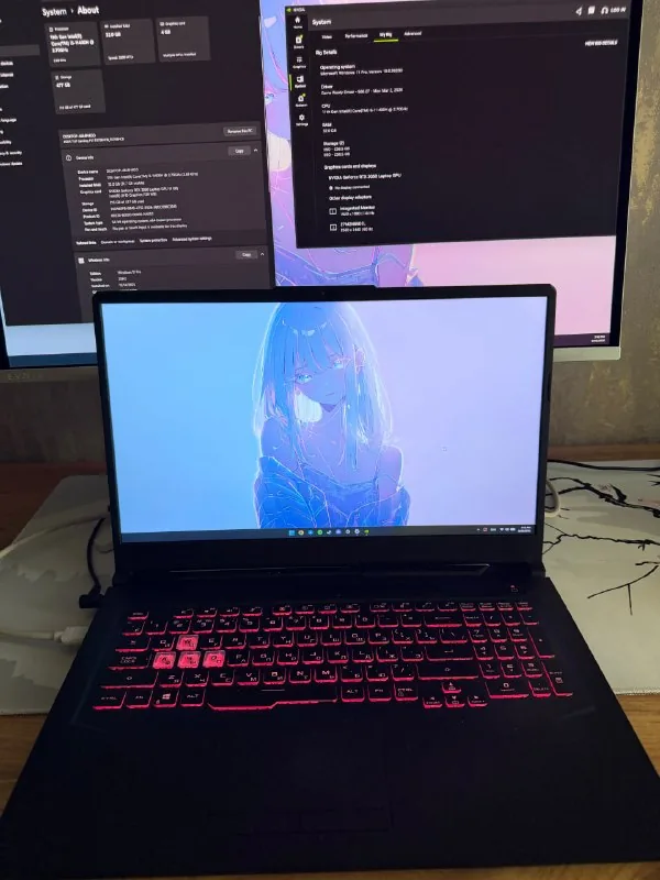 Игровой ноутбук ASUS TUF Gaming F17 1