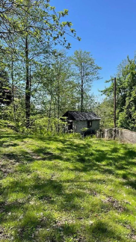 Участок 3000 м² с домом и садом в Ахалшени