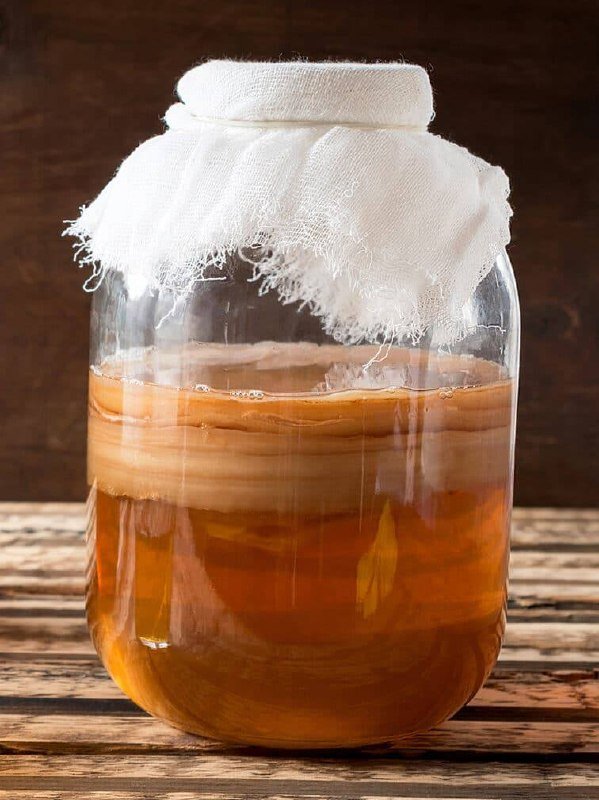 Чайный гриб камбуча взрослый в добрые руки