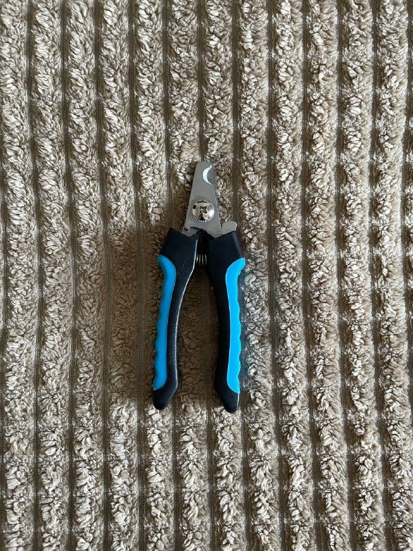 лежанка, лестница, зоошампуни, когтестрижка, пакетики, намордник 4