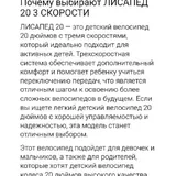 Детский велосипед Лисапед 20" 7