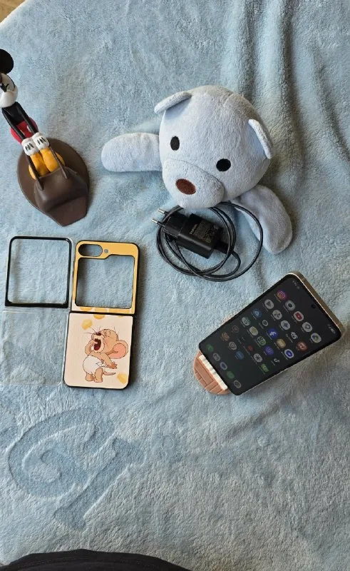 Samsung Galaxy Z Flip6 1