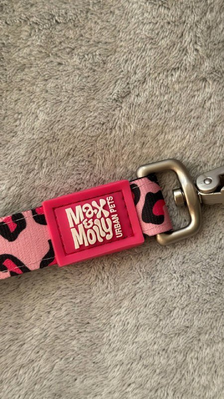 Шлейка и поводок для собаки размер L 2