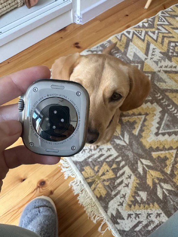 Часы Apple Watch Ultra 1 3