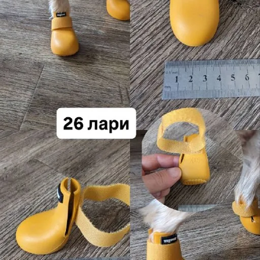 Обувь и носочки для маленькой собаки