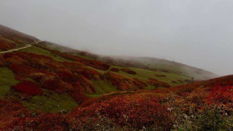 Хайкинг на гору Диди в Гомисмта с трансфером 3