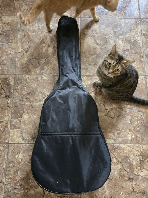 Гитара YAMAHA F310, чехол 6