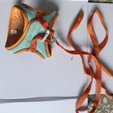 Шлейки, поводки, ошейники, лежанка, клетка 9