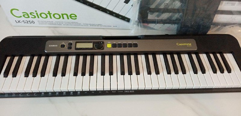 Синтезатор Casiotone LK-S250 2