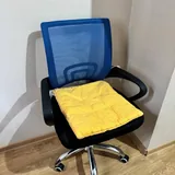 Кресло компьютерное с подушкой 1