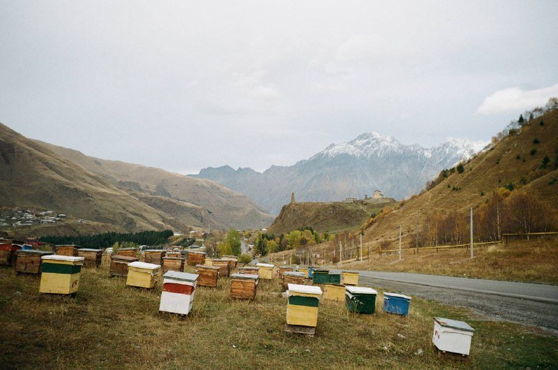 Фотоаппарат Olympus mju Zoom 7