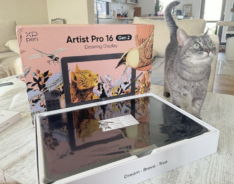 XPpen Artist Pro 16 Gen 2 планшет для рисования