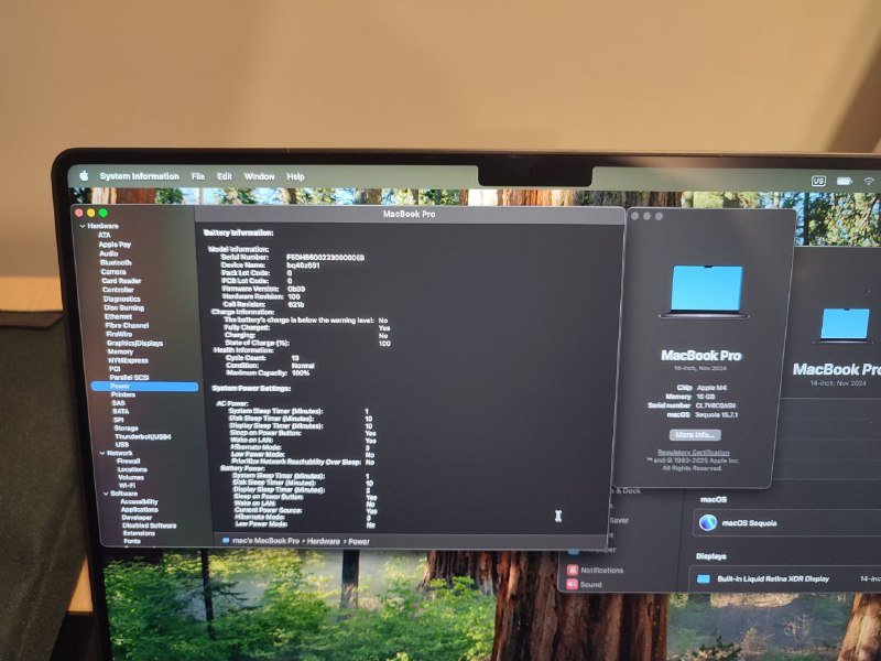 MacBook Pro 14" M4 16 Gb 1 Tb Space Black 2