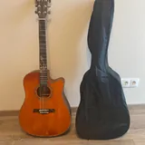 Гитара Sampaul D100GY 1