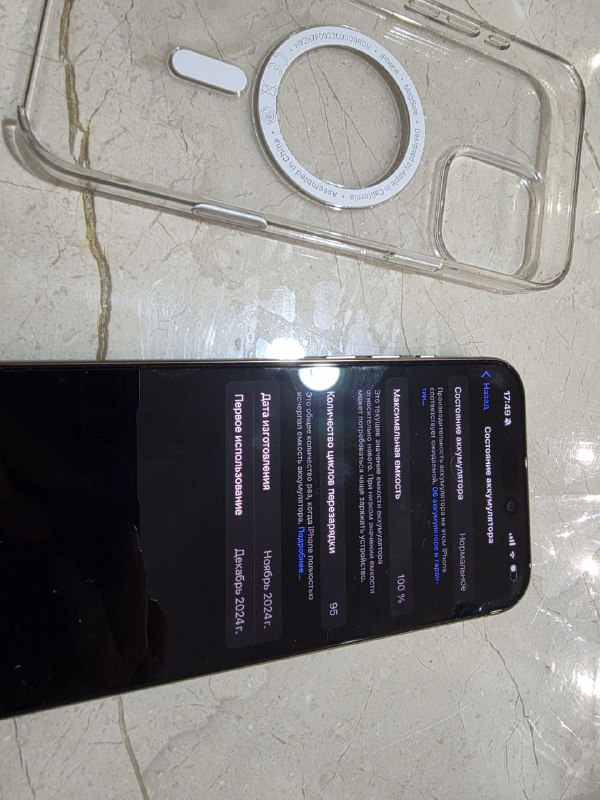 iPhone 16 Pro Max 256 GB Desert titanium 3