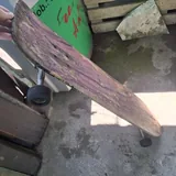 Longboard 1