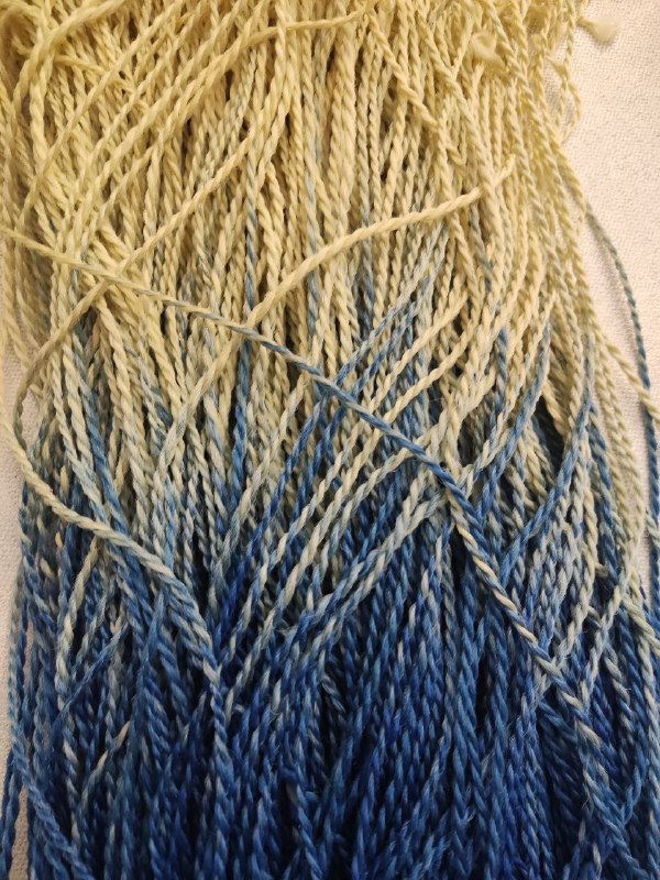 Афрокосы микросенегалки 2