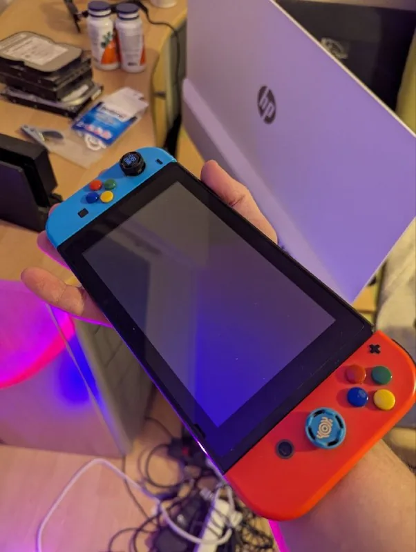 Nintendo Switch, accessories 1