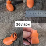 Обувь и носочки для собаки 4