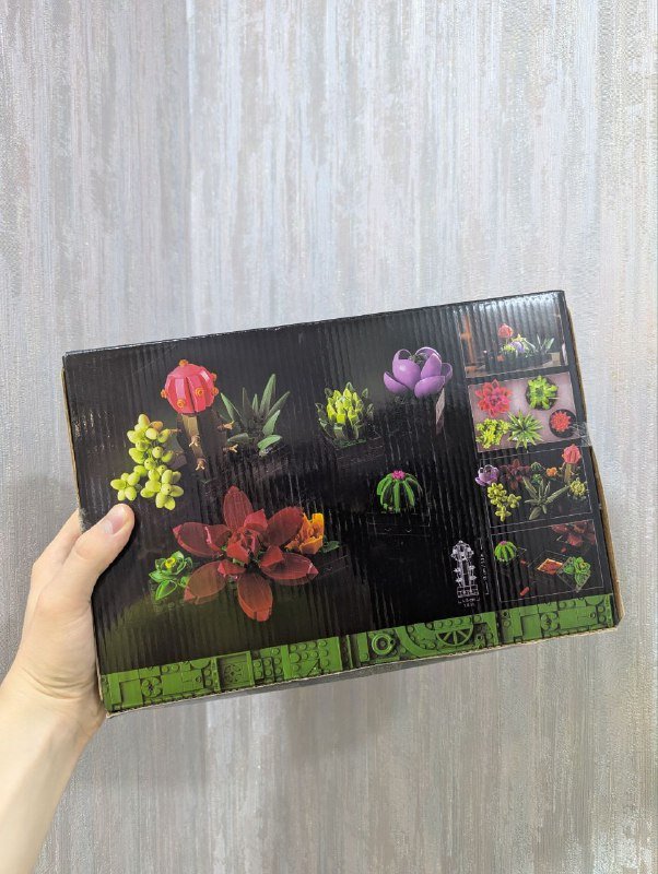 The Botanical Collection Succulents набор 2