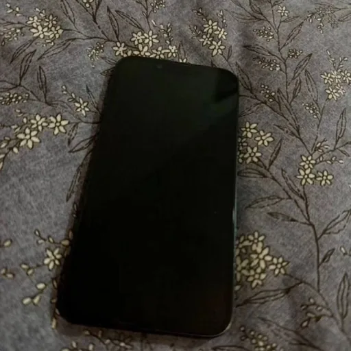 iPhone 13 256GB