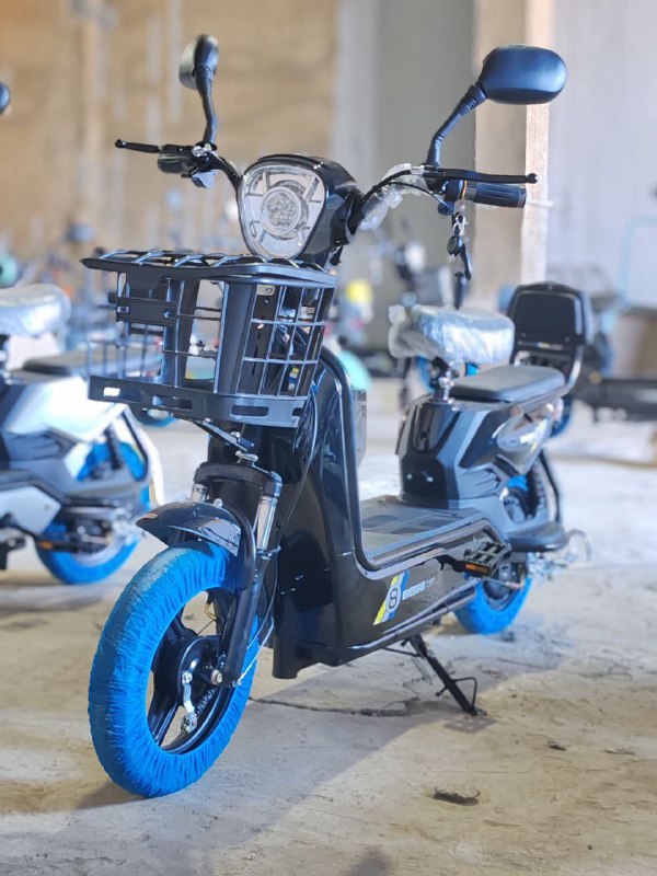 Electric motorcycle