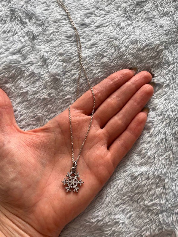 Цепочка и кулон Pandora 2