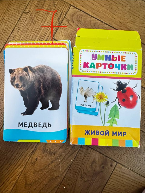 Паззл, умные карточки, карточки для чтения, балансир кактус 3