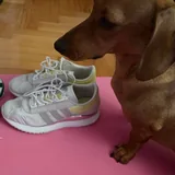 Женские кроссовки Adidas, две пары 2