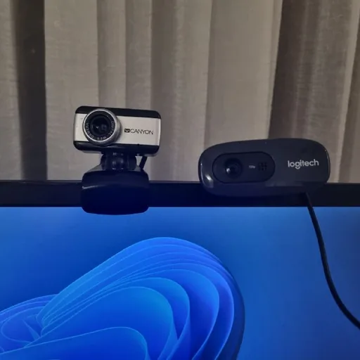 Веб камеры Canyon, Logitech