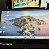 Portable monitors MSI MP161, Acer PM161Q 2