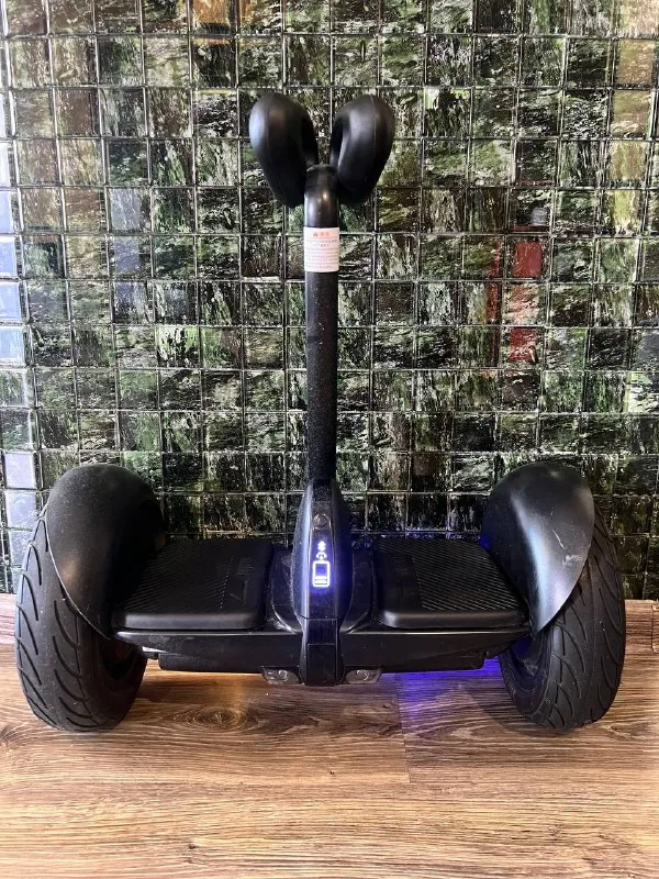 Xiaomi Ninebot Mini гироскутер 1