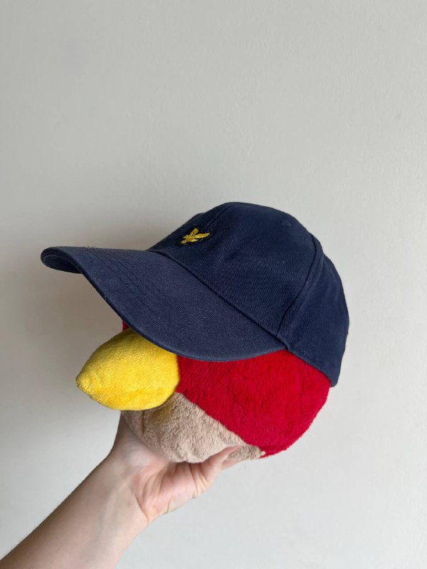 Футболка Amstaff, Кепка Lyle&Scott Junior, Штаны Norrona, Рубашка Fred Perry, Мини рюкзак Vans, Футболка женская Moschino, Поло C.P. Company, Шорты Carhartt, Рюкзак Kanken 2