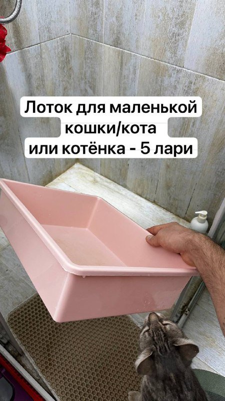 Тарелки капля, кофейные чашечки, стаканы, блюдца, лоток для кошки, светодиодная лента, гидрогелевые плёнки 7