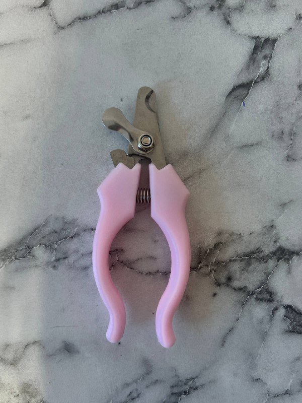 Анатомическая шлейка, поводок, маска от колтунов, расческа, воск, когтерез, декоративное растение 6