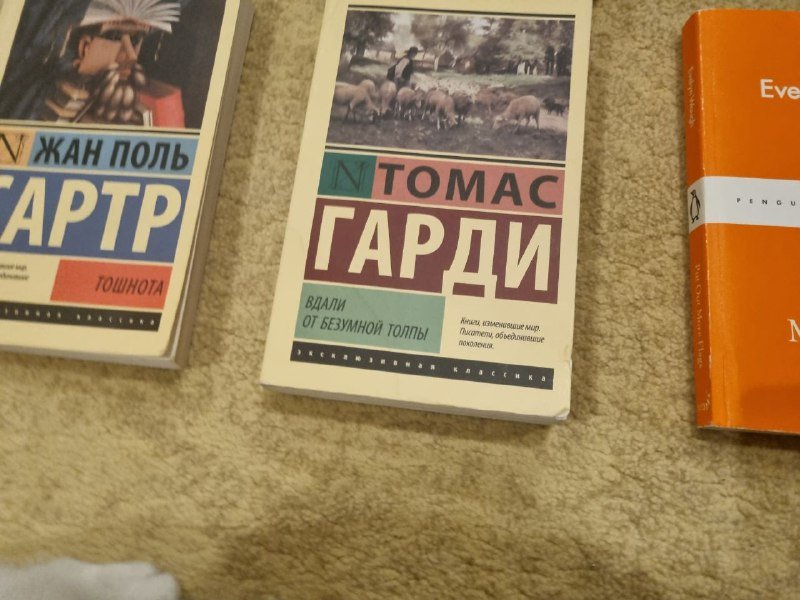 Книги Михаил Литвак, Даяна Вогт, Жан Поль Сартр, Томас Гарди, Evelyn Waugh 3