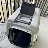 Авиаперевозка для собак 3
