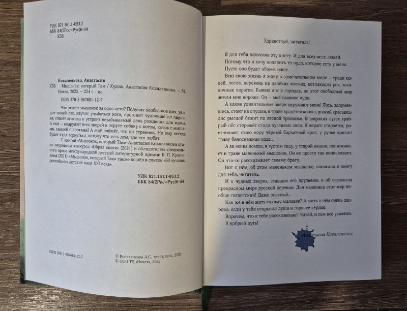 Детская книга Мышонок, который Там 6