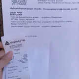 Помощь на лечение кошки 5