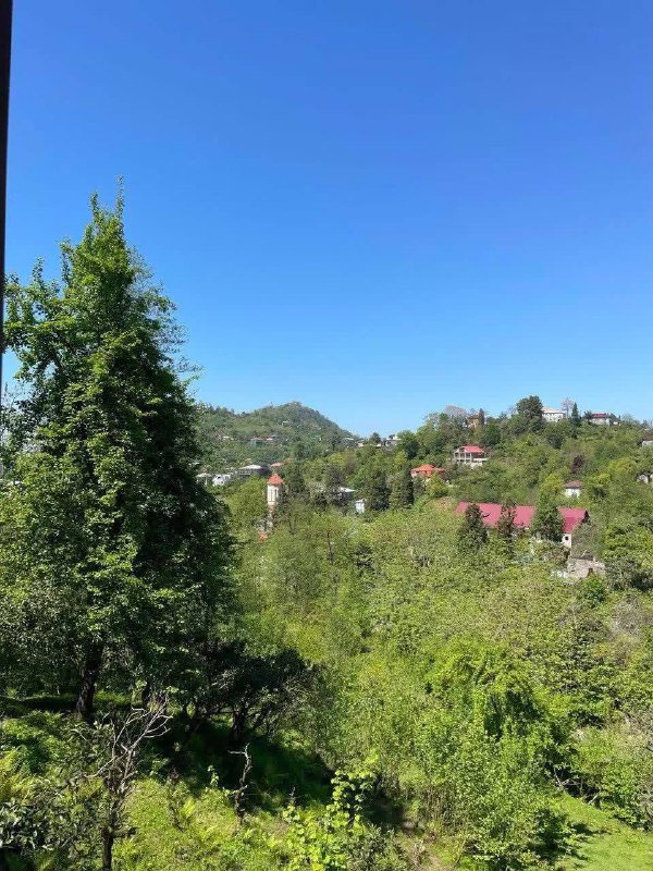 Участок 3000 м² с домом и садом в Ахалшени 5