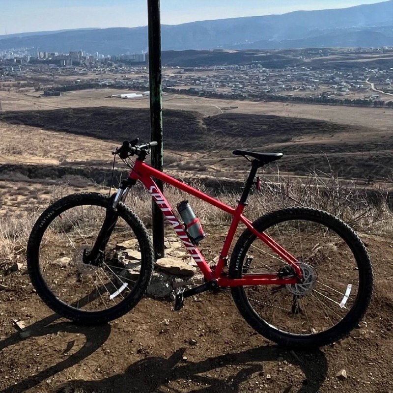 Горный велосипед Specialized Rockhopper 29 L