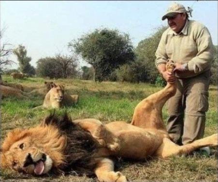 Классический массаж с базальтовыми камнями 1.5 часа