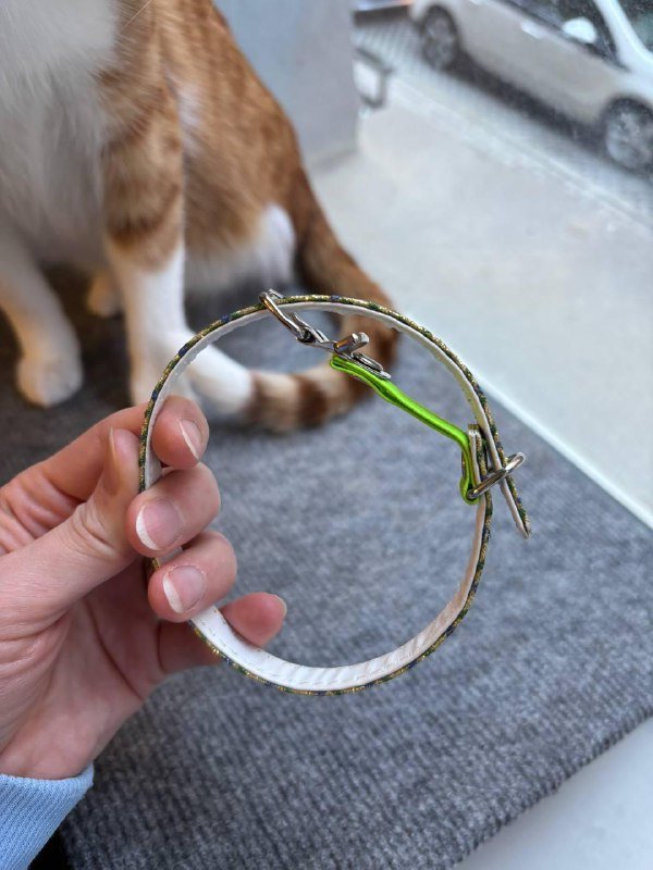 Защитный воротник, игрушки, ошейники, расчёска для животных 8