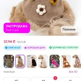 Кофточки для собачки 3
