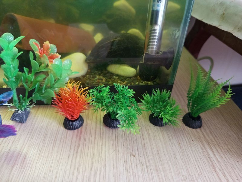 Аквариумные искусственные растения