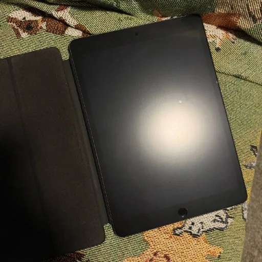 iPad 9-го поколения, Apple Pencil 1-го поколения