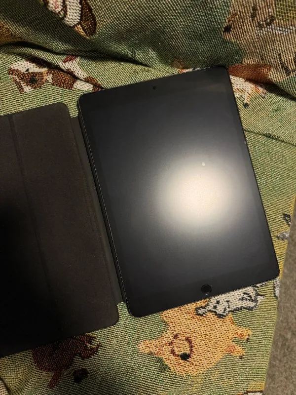 iPad 9-го поколения, Apple Pencil 1-го поколения 1